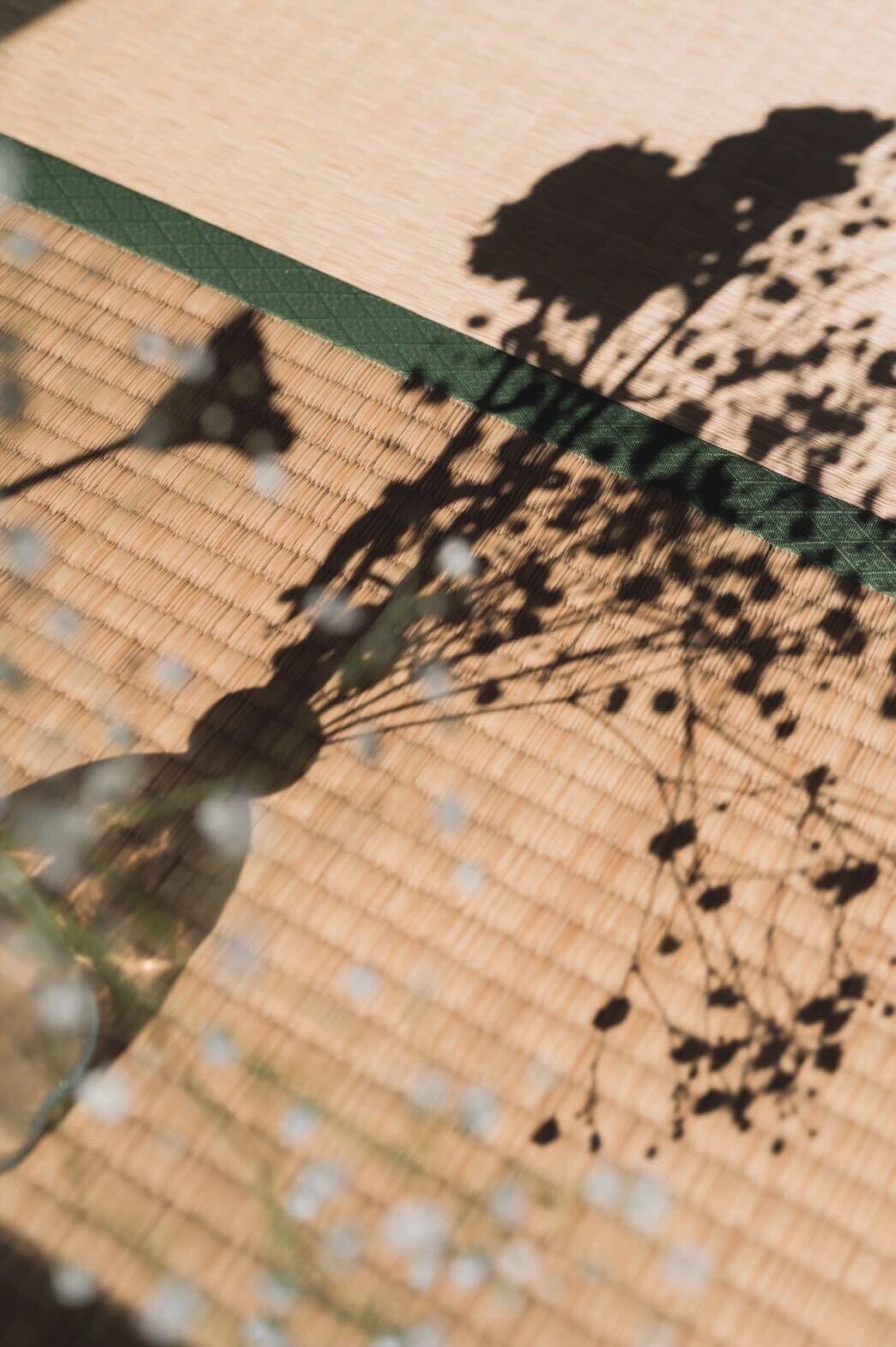 ポートレート 11